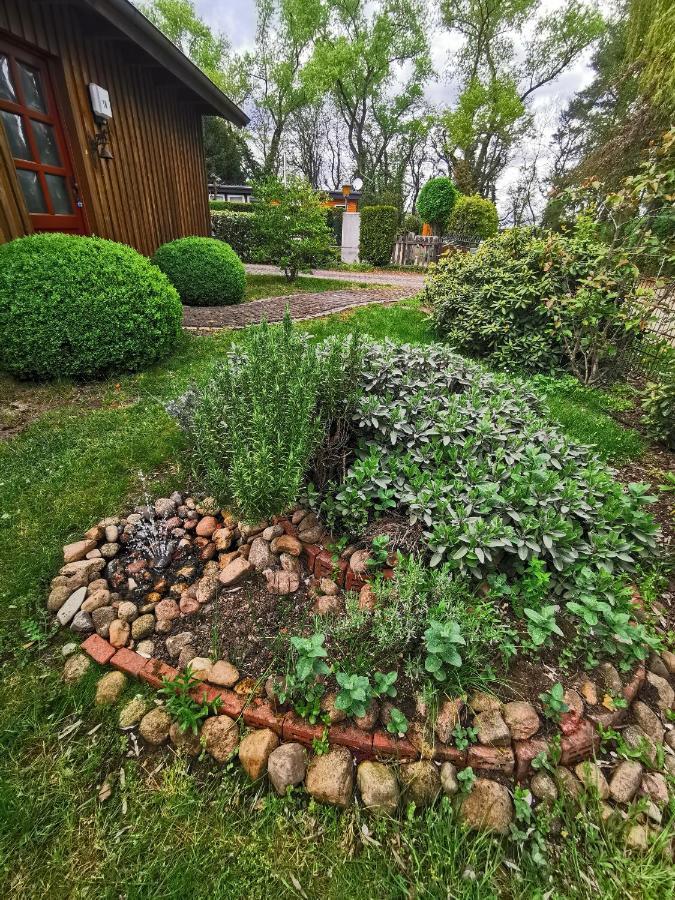 Ferienhaus In Absoluter Seenaehe Fuer 4 Personen Arendsee  Exterior foto